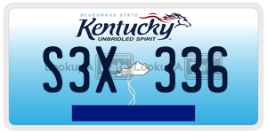 S3X336  license plate in KY