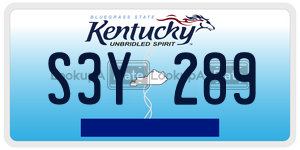 S3Y289  license plate in KY