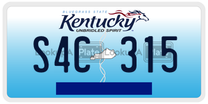S4C315  license plate in KY