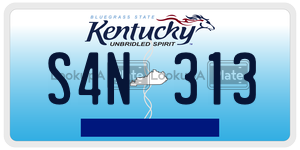 S4N313  license plate in KY