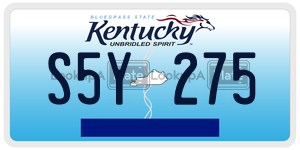 S5Y275  license plate in KY