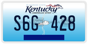 S6G428  license plate in KY