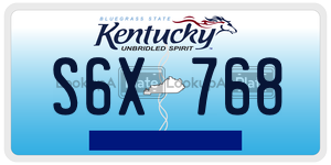 S6X768  license plate in KY