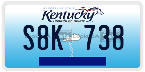 S8K738  license plate in KY