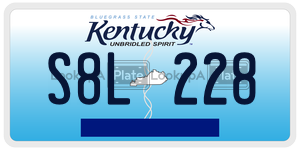 S8L228  license plate in KY