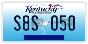 S8S050  license plate in KY