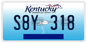 S8Y318  license plate in KY