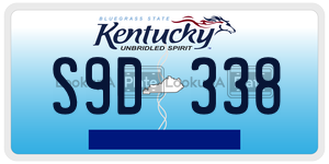S9D338  license plate in KY