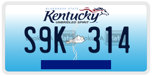 S9K314  license plate in KY