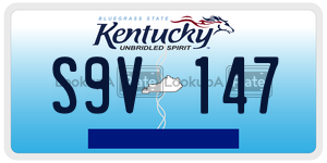 S9V147  license plate in KY