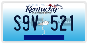 S9V521  license plate in KY