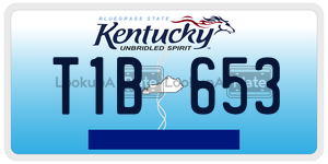 T1B653  license plate in KY