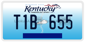 T1B655  license plate in KY