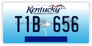 T1B656  license plate in KY