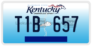 T1B657  license plate in KY