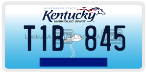 T1B845  license plate in KY