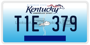 T1E379  license plate in KY