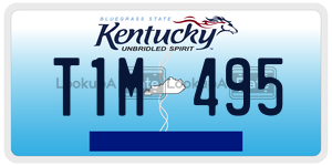 T1M495  license plate in KY