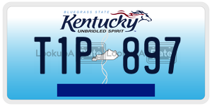 T1P897  license plate in KY
