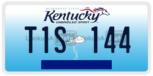 T1S144  license plate in KY