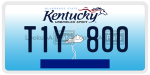 T1Y800  license plate in KY