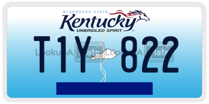 T1Y822  license plate in KY