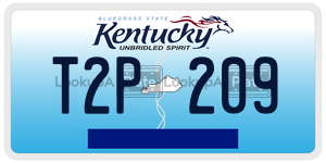 T2P209  license plate in KY