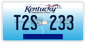 T2S233  license plate in KY