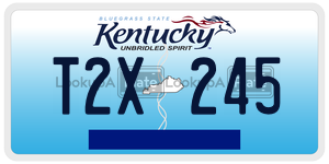 T2X245  license plate in KY