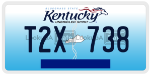 T2X738  license plate in KY