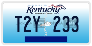 T2Y233  license plate in KY