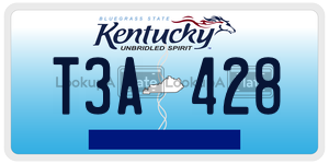 T3A428  license plate in KY