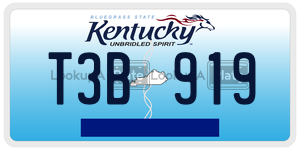 T3B919  license plate in KY
