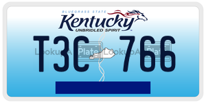 T3C766  license plate in KY