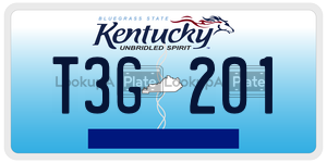 T3G201  license plate in KY