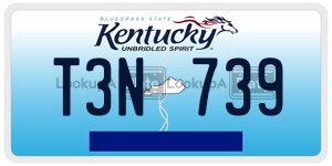 T3N739  license plate in KY