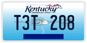 T3T208  license plate in KY