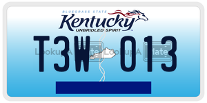 T3W013  license plate in KY