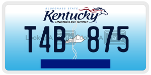 T4B875  license plate in KY