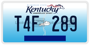 T4F289  license plate in KY