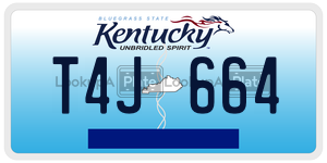 T4J664  license plate in KY