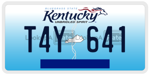T4Y641  license plate in KY