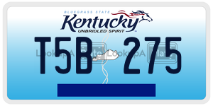 T5B275  license plate in KY
