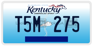 T5M275  license plate in KY