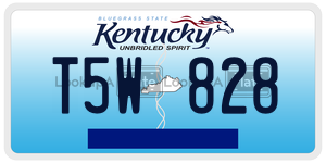 T5W828  license plate in KY