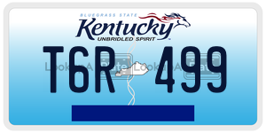 T6R499  license plate in KY