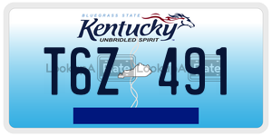T6Z491  license plate in KY