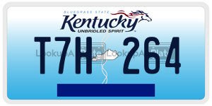 T7H264  license plate in KY