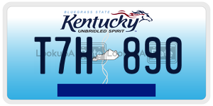 T7H890  license plate in KY