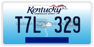 T7L329  license plate in KY